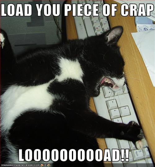 funny-pictures-cat-waits-for-program-to-load
