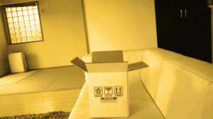 maru jumps into box